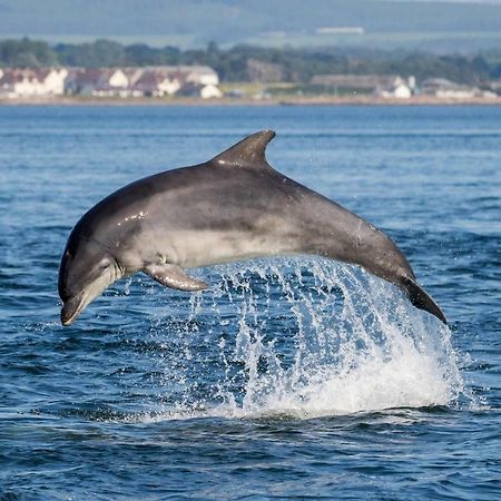 Jomarnic B&B Lossiemouth Bagian luar foto